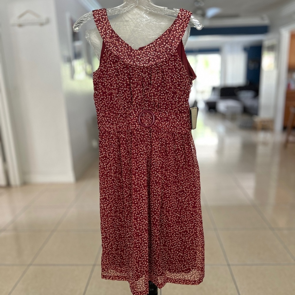 Jonathan Martin Burgundy Polka Dot Dress